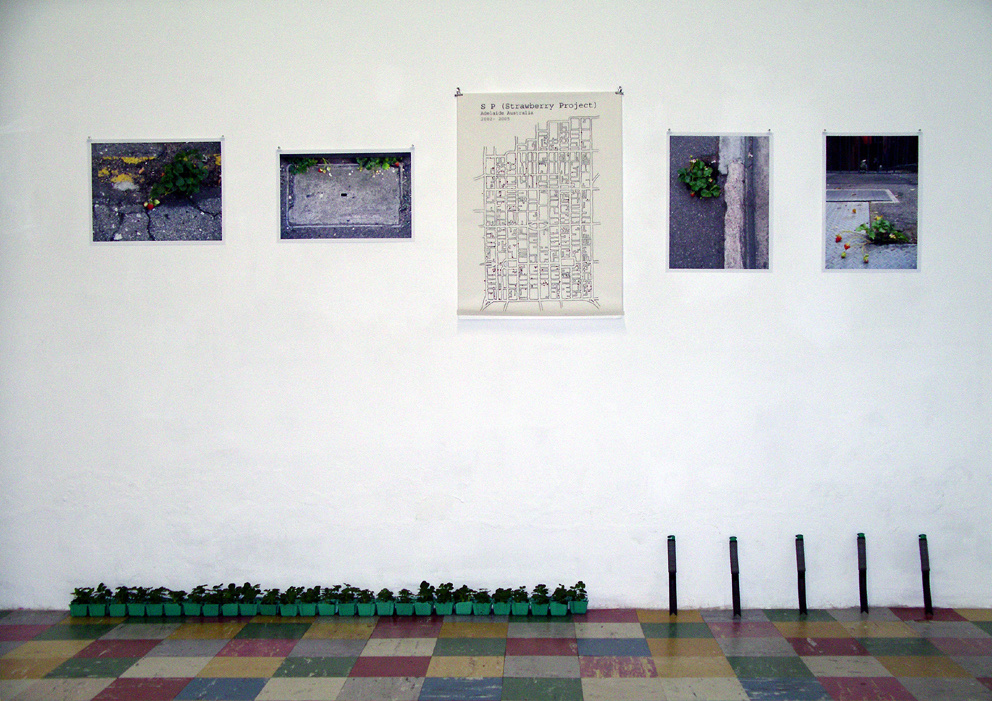 Installation view 1 of S.P. (Strawberry Project)