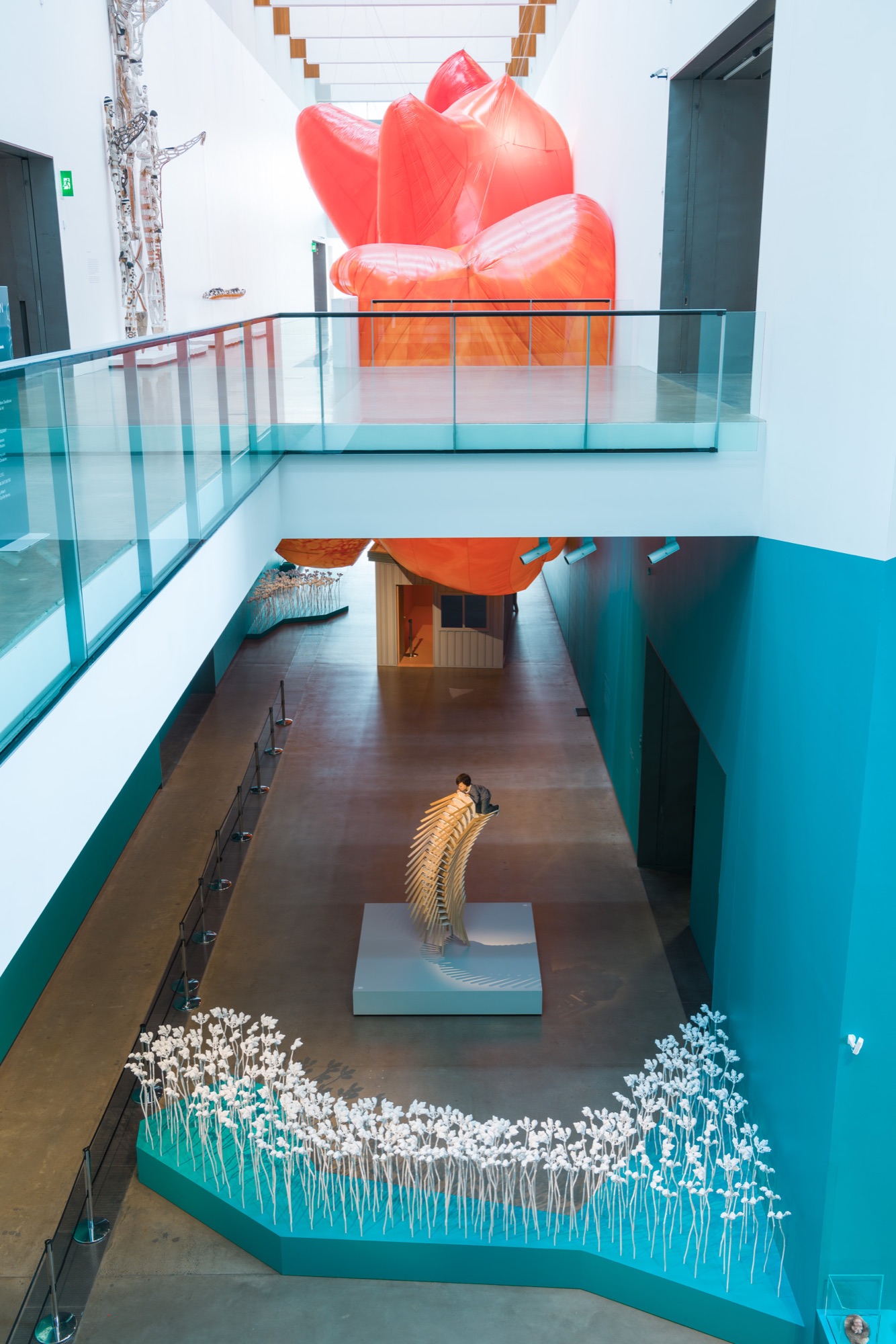 Installation view 1 of Curious Affection